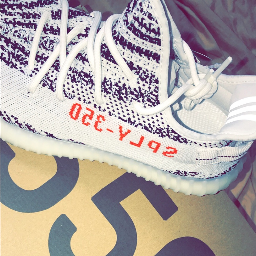 Yeezy boosted 350 V2